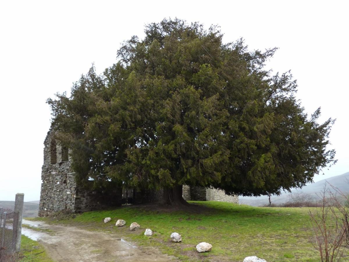 Casa De Abril 1
